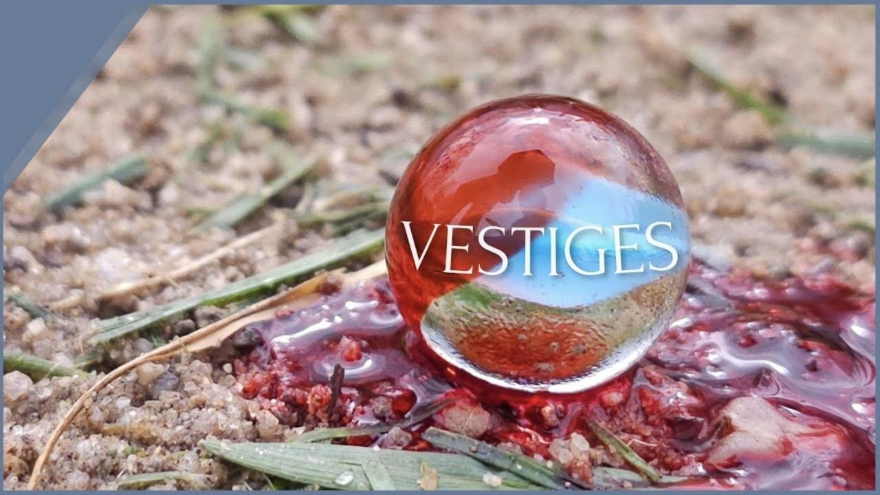 Miniature du film Vestiges